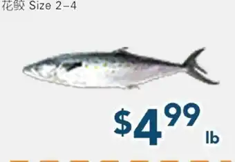 Oceans Fresh Food Market Baby king Fish offer