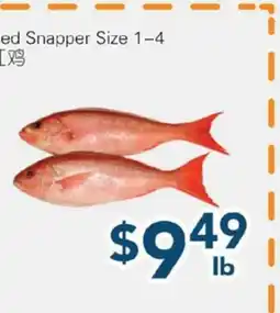 Oceans Fresh Food Market Red Snapper Size 1-4 offer