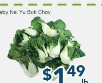 Oceans Fresh Food Market Baby Nai Yu Bok Choy offer