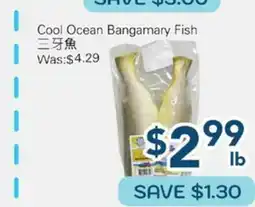 Oceans Fresh Food Market Cool Ocean Bangamary Fish offer