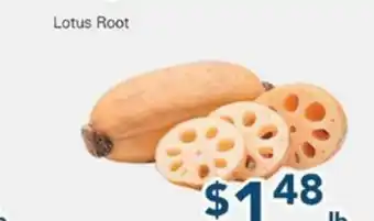 Oceans Fresh Food Market Lotus Root offer