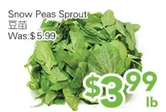 Ample Food Market Snow Peas Sprout offer
