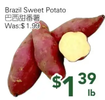 Ample Food Market Brazil Sweet Potato offer