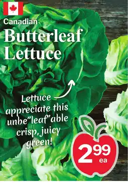 Village Food Markets Butterleaf Lettuce offer