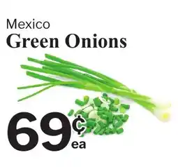 Village Food Markets Mexico Green Onions offer