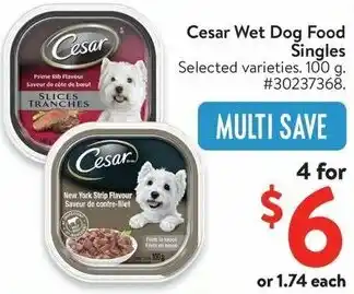 Walmart Cesar Wet Dog Food Singles offer