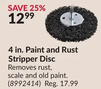 Princess Auto 4 in. Paint and Rust Stripper Disc offer