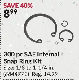 Princess Auto 300 pc SAE Internal Snap Ring Kit offer