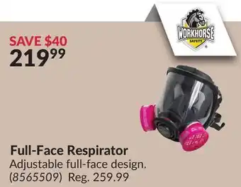 Princess Auto Full-Face Respirator offer