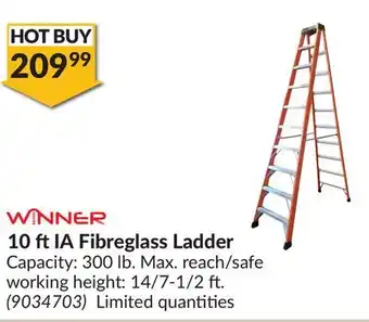 Princess Auto 10 ftIA Fibreglass Ladder offer