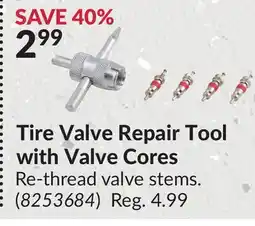 Princess Auto Tire Valve Repair Tool with Cores offer