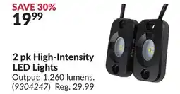 Princess Auto 2 pk High-Intensity LED Lights offer