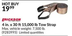 Princess Auto 4 in. x 30 ft 15,000 lb Tow Strap offer