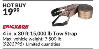 Princess Auto 4 in. x 30 ft 15,000 lb Tow Strap offer