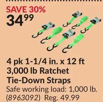 Princess Auto Ratchet Tie-Down Straps offer