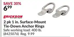 Princess Auto 2 pk 1 in. Surface-Mount Tie-Down Anchor Rings offer