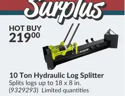 Princess Auto 10 Ton Hydraulic Log Splitter offer