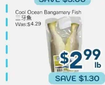 Oceans Fresh Food Market Cool Ocean Bangamany Fish offer