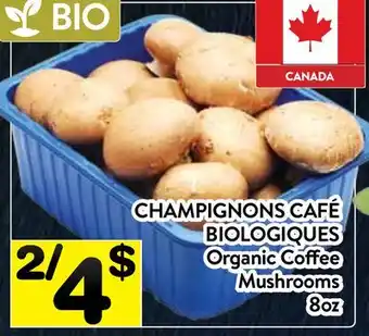 Supermarché PA CHAMPIGNONS CAFÉ BIOLOGIQUES | Organic Coffee Mushrooms offer