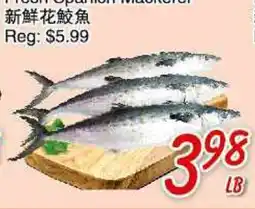 Foody Mart Fresh Spanish Mackerel offer