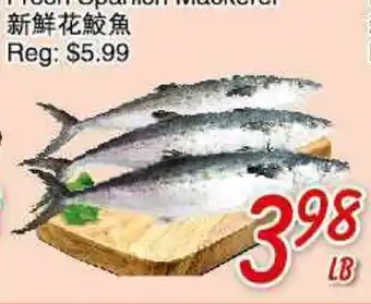 Foody Mart Fresh Spanish Mackerel offer