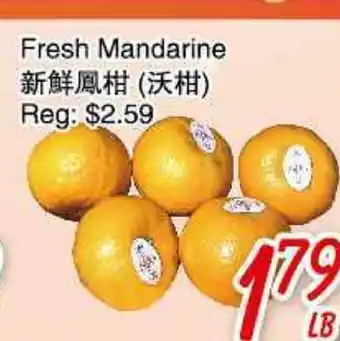 Foody Mart Fresh Mandarine offer