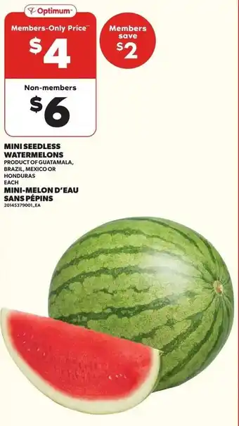 Loblaws Mini seedless watermelons offer