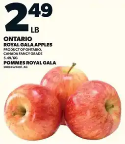 Loblaws Ontario royal gala apples offer