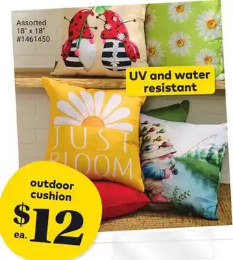 Giant Tiger outdoor cushion offer