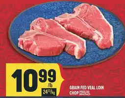 Marché Adonis GRAIN FED VEAL LOIN CHOP HALAL offer