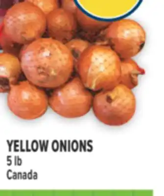 Marché Adonis YELLOW ONIONS offer