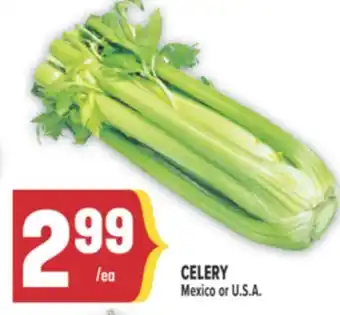 Marché Adonis CELERY offer