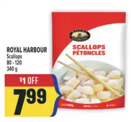 Marché Adonis ROYAL HARBOUR SCALLOPS 80 - 120 offer