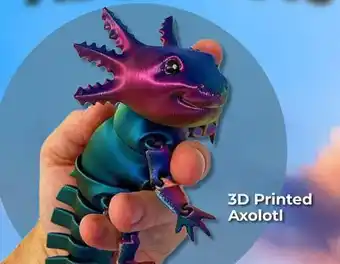 Showcase 3D Printed Axolotl offer