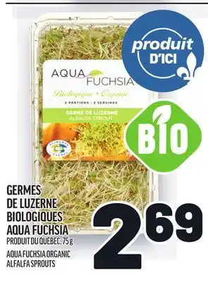 Metro GERMES DE LUZERNE BIOLOGIQUES AQUA FUCHSIA | AQUA FUCHSIA ORGANIC ALFALFA SPROUTS offer