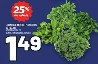 Metro CORIANDRE, MENTHE, PERSIL FRISÉ OU ITALIEN | CILANTRO, MINT, CURLY OR ITALIAN PARSLEY offer