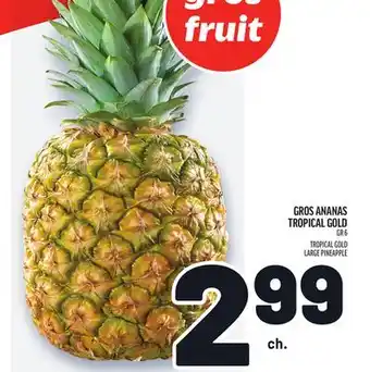 Metro GROS ANANAS TROPICAL GOLD | TROPICAL GOLD LARGE PINEAPPLE offer