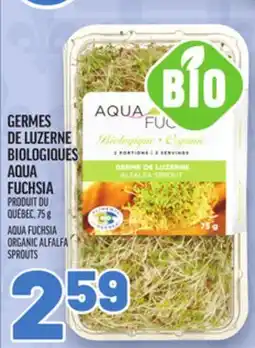 Metro GERMES DE LUZERNE BIOLOGIQUES AQUA FUCHSIA | AQUA FUCHSIA ORGANIC ALFALFA SPROUTS offer