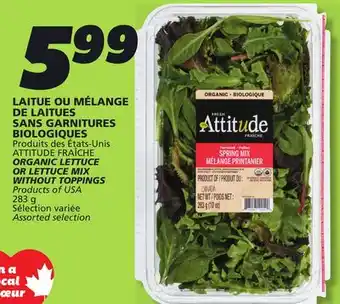 IGA ATTITUDE FRAÎCHE ORGANIC LETTUCE OR LETTUCE MIX WITHOUT TOPPINGS offer