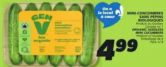 IGA ORGANIC SEEDLESS MINI CUCUMBERS offer