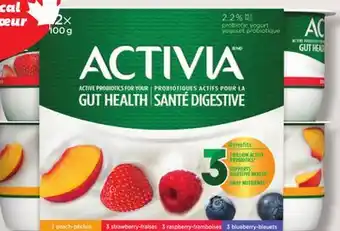 IGA ACTIVIA YOGURT, GREEK YOGURT OR PROBIOTIC YOGURT offer