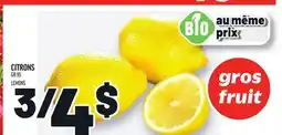 Metro CITRONS | LEMONS offer