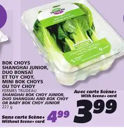 IGA SHANGHAI BOK CHOY JUNIOR, DUO SHANGUAI AND BOK CHOY OR BABY BOK CHOY JUNIOR offer