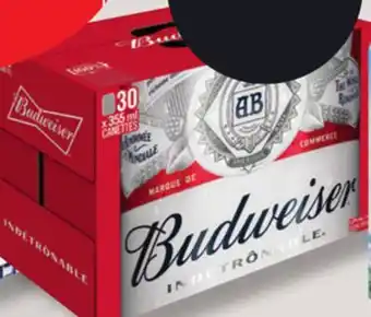 IGA BUDWEISER BEER offer