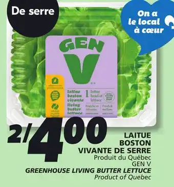 IGA GEN V GREENHOUSE LIVING BUTTER LETTUCE offer