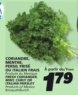 IGA FRESH CORIANDER, MINT, CURLY OR ITALIAN PARSLEY offer