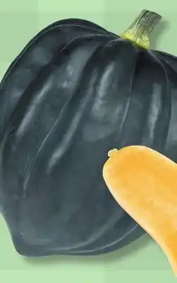 IGA ACORN SQUASH offer