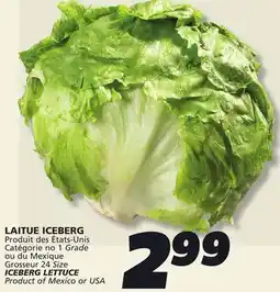 IGA ICEBERG LETTUCE offer