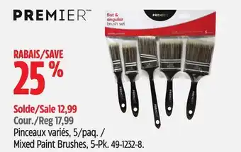 Canadian Tire Premier Paint Mixed Paint Brushes offer