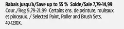 Canadian Tire Premier Paint Selected Paint, Roller and Brush Sets offer